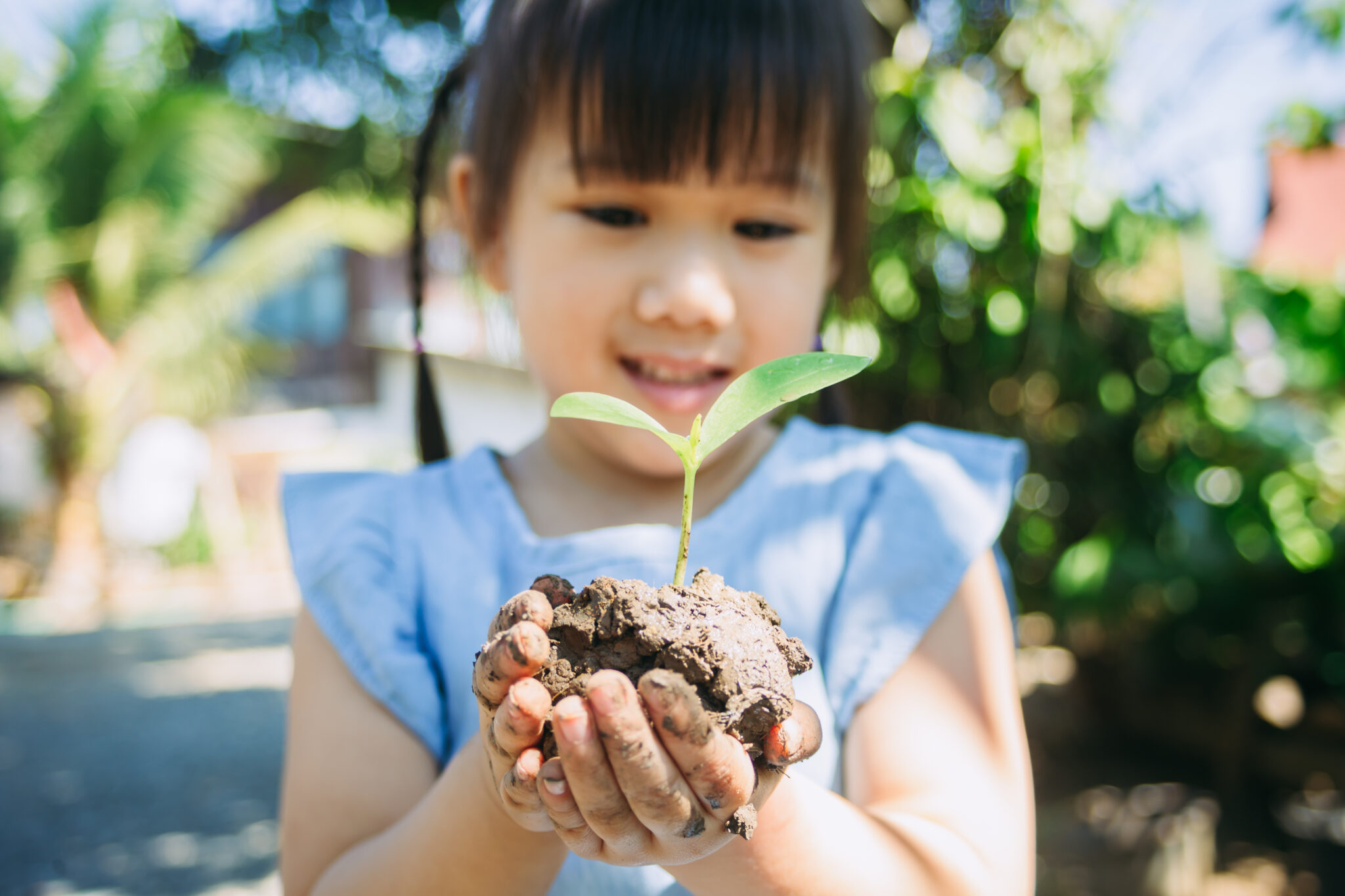 Early Childhood Education.