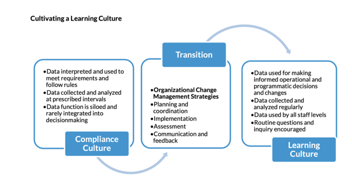 Organizational Learning and Training | Bodmando Consulting Group