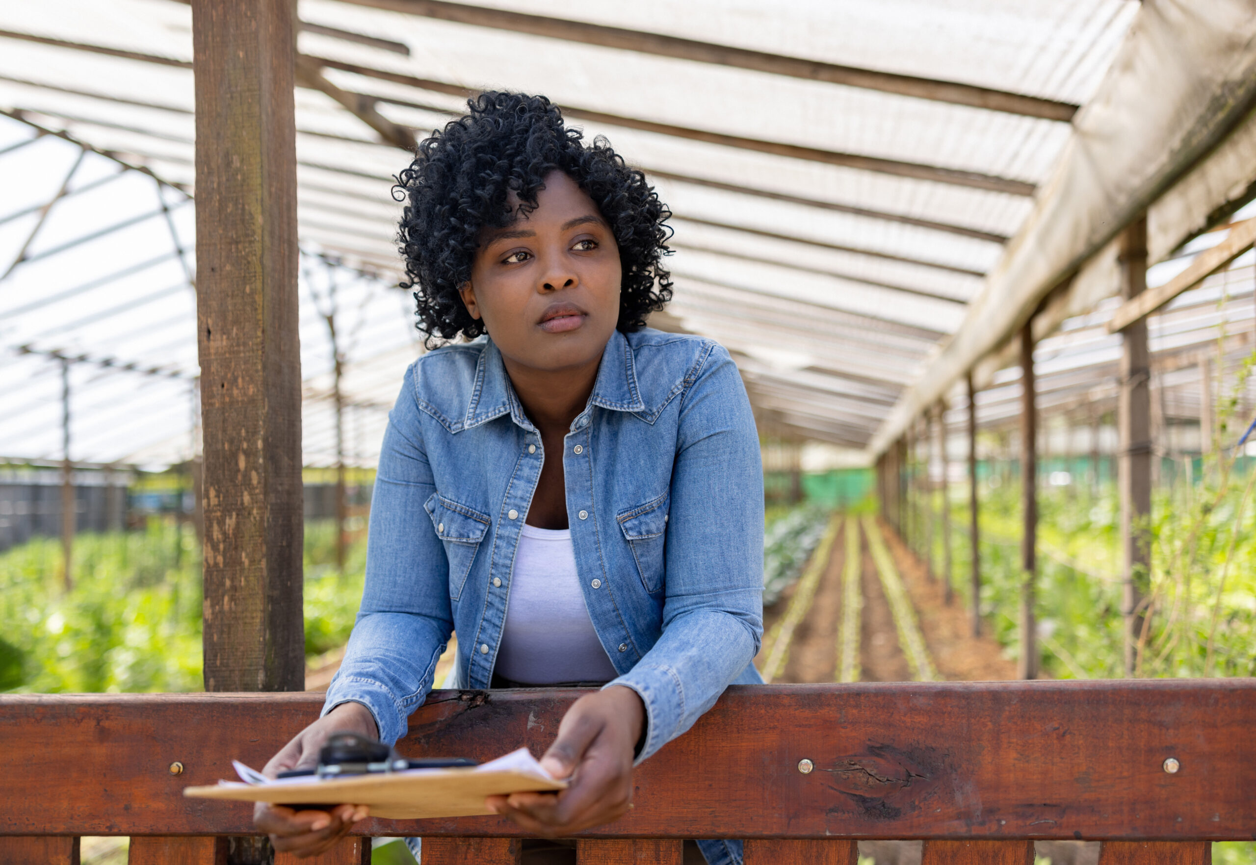 African American woman working as manager at an organic farm and looking worried